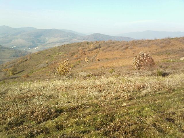 les landes du beaujolais.jpg